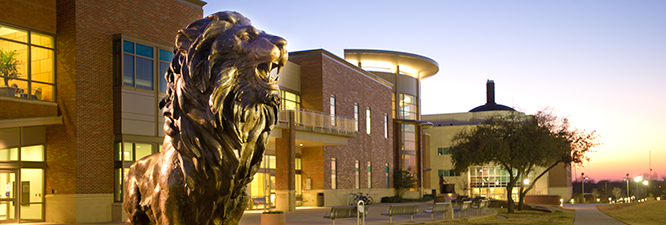 Texas A&M University Commerce Library