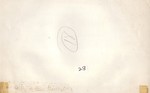 Ninth Texas Cavalry Reunion, Reverse