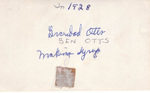 Ben Otts Making Syrup, Reverse