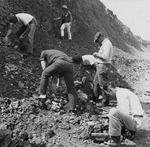 Oklahoma Fossil Hunt by East Texas State Teachers College