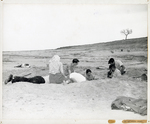 Lake Tawakoni Fossil Dig by Hazel A. Peterson