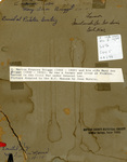 Mary Ann Briggs and Marion Frances Briggs, Reverse