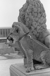 Bullwinkle and Lion Statue by East Texas State University