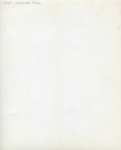 Football Team, Reverse by East Texas State Teachers College
