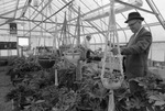 Person in Plant Science Center by East Texas State University