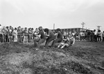 Tug of War at Alpha Delta Pi Sorority Playday by East Texas State University